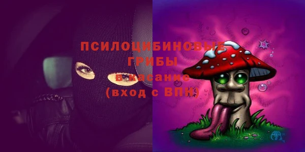 бошки Аркадак