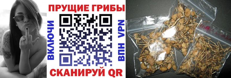 Галлюциногенные грибы ЛСД  Сухой Лог 