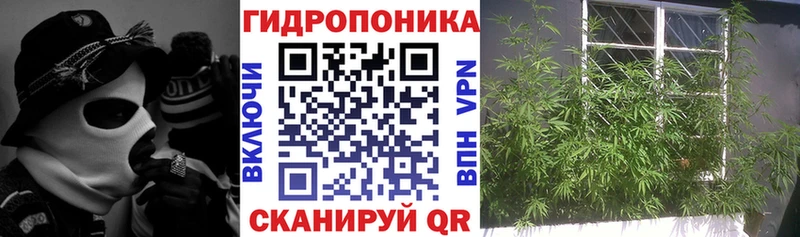 Каннабис Ganja  сколько стоит  Сухой Лог 